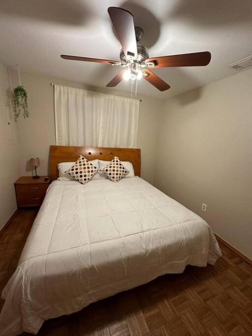 Mcallen 4Br With Pool, Shopping & More Екстериор снимка