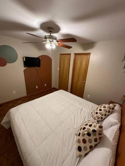 Mcallen 4Br With Pool, Shopping & More Екстериор снимка