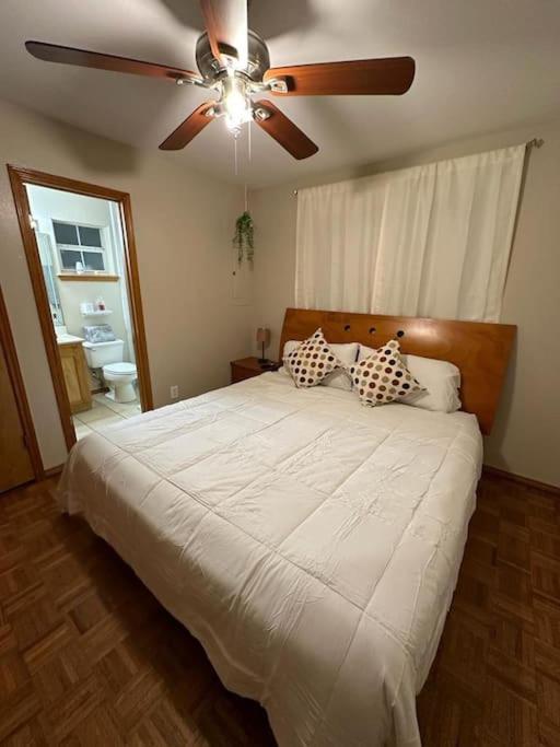 Mcallen 4Br With Pool, Shopping & More Екстериор снимка